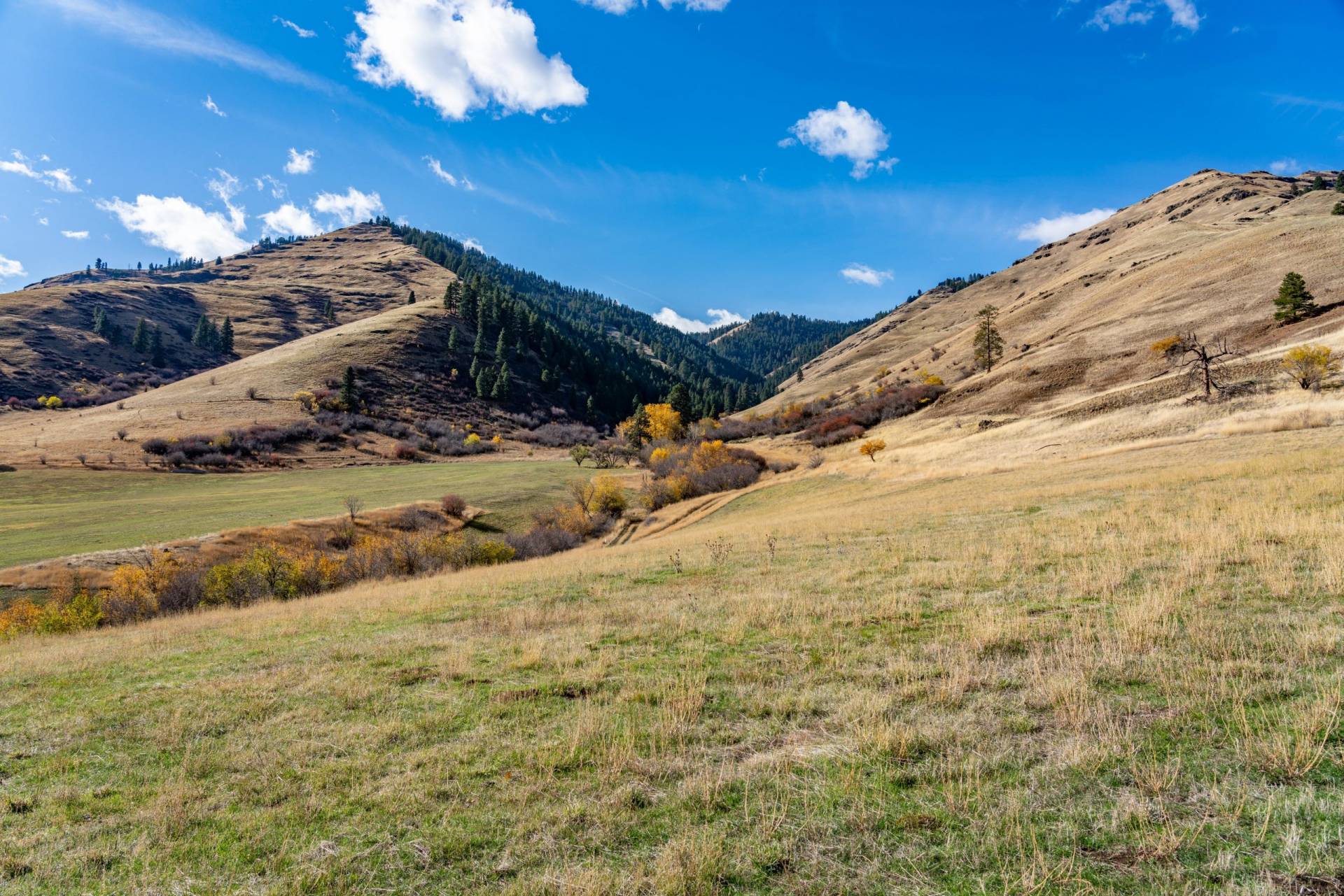 Grouse Creek Ranch Ranches For Sale Martin Outdoor Property Group