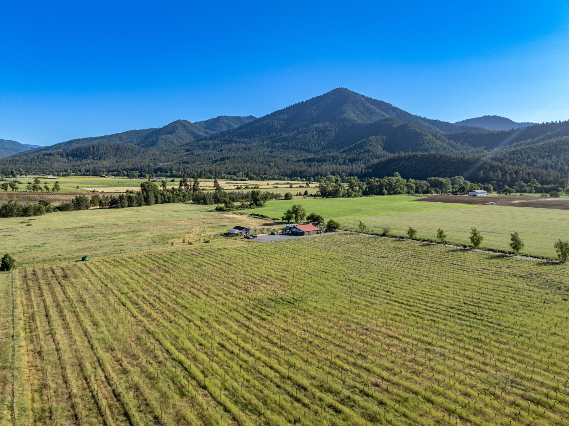 Vineyards Martin Outdoor Property Group