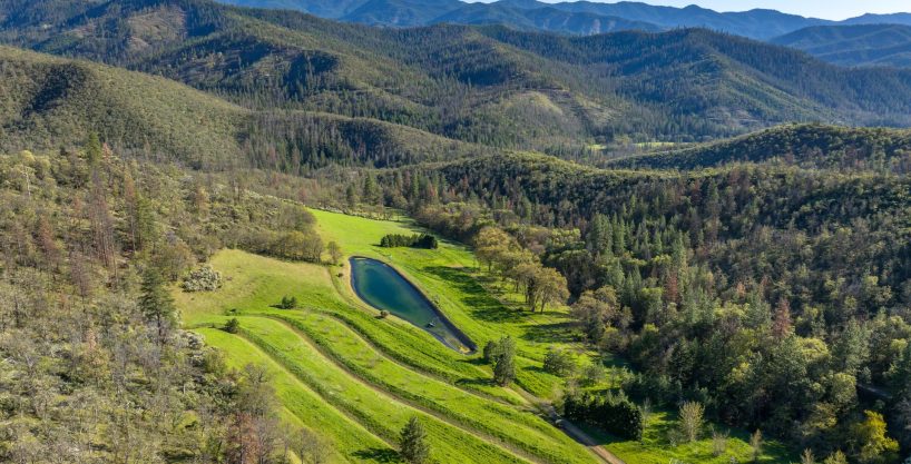 Final 4 | Martin Outdoor Property Group