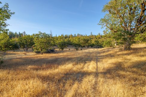 7091 Butte Falls Hwy (44)
