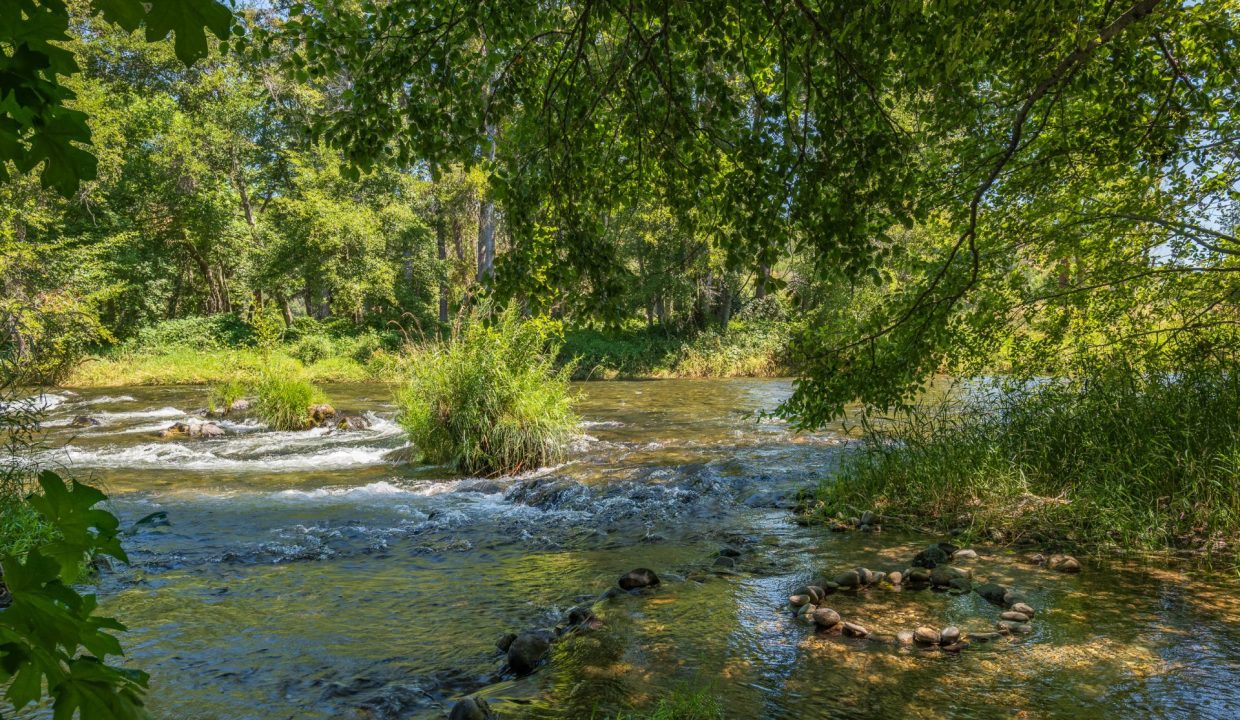 11655 and 11677 Combined (18)