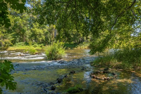 11655 and 11677 Combined (18)