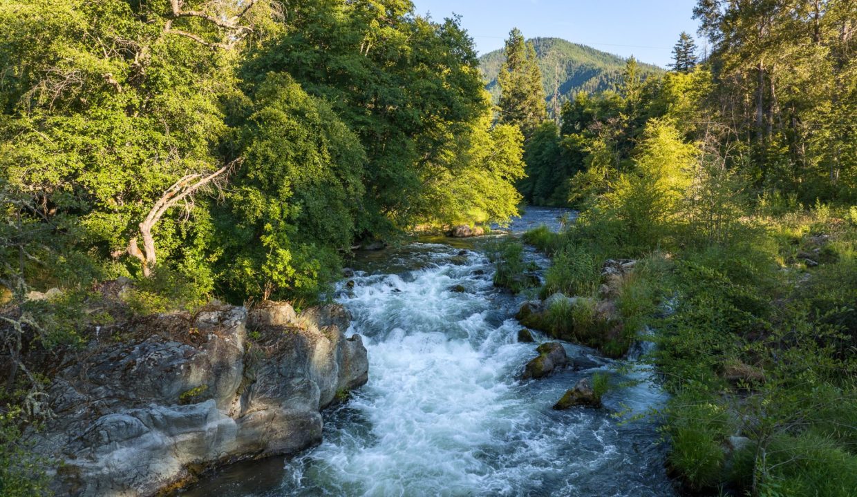 11655 and 11677 Combined (30)