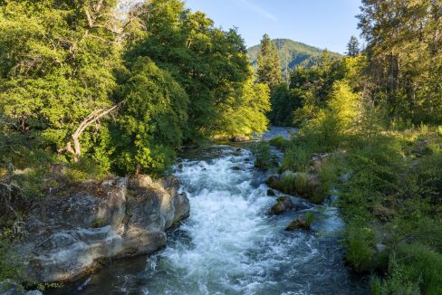 11655 and 11677 Combined (30)