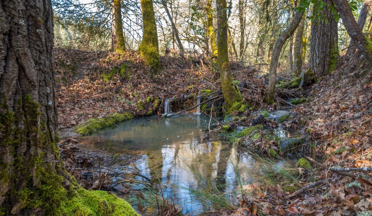 Copy of GG Final00003