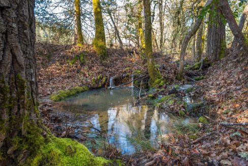 Copy of GG Final00003