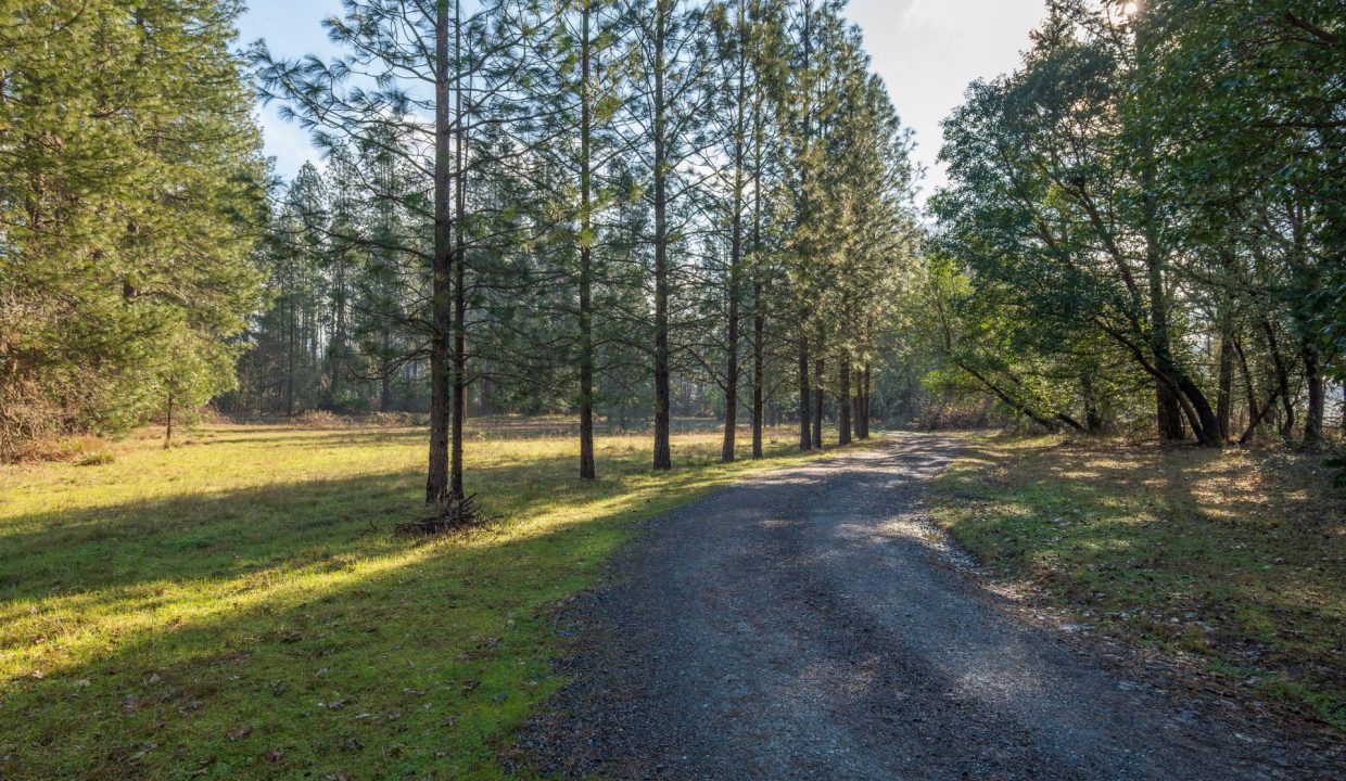 Copy of GG Final00005