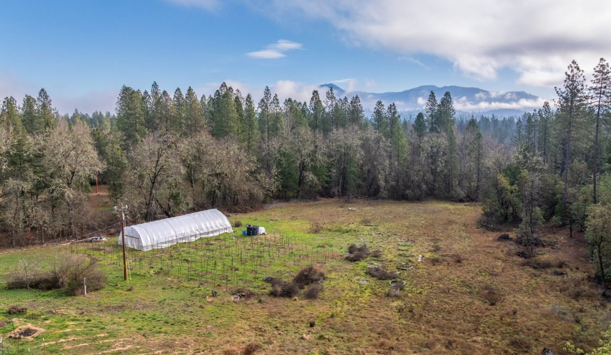 Copy of GG Final00014