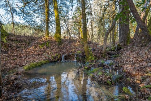 Copy of GG Final00017