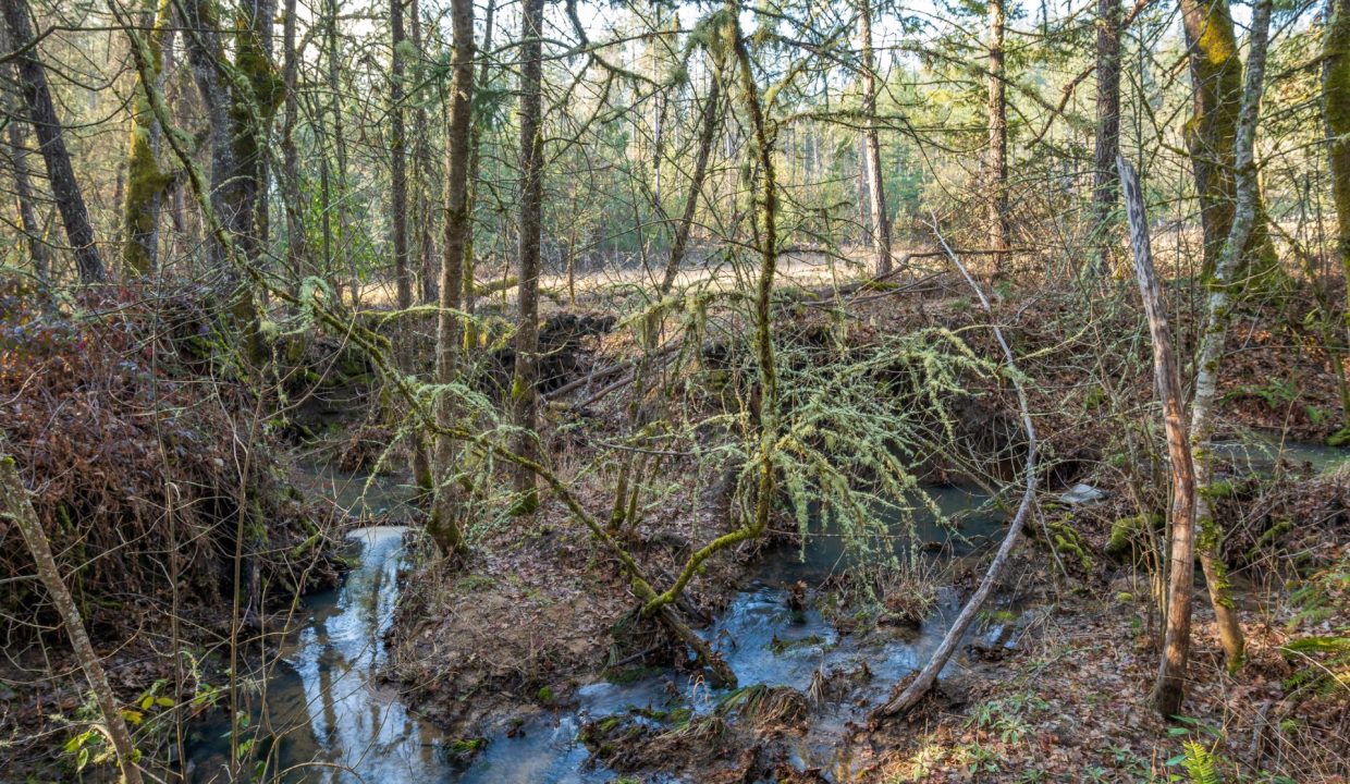 Copy of GG Final00018