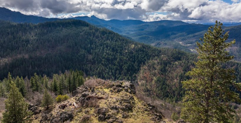 001 | Martin Outdoor Property Group