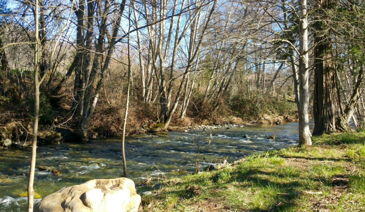 3998LittleApplegate10