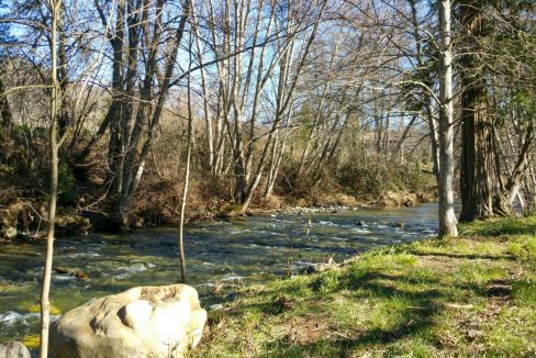 3998LittleApplegate10