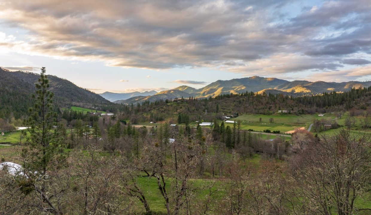 3998LittleApplegate5