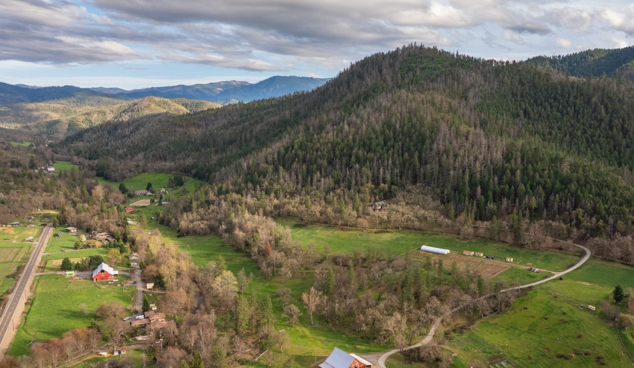 3998LittleApplegate6