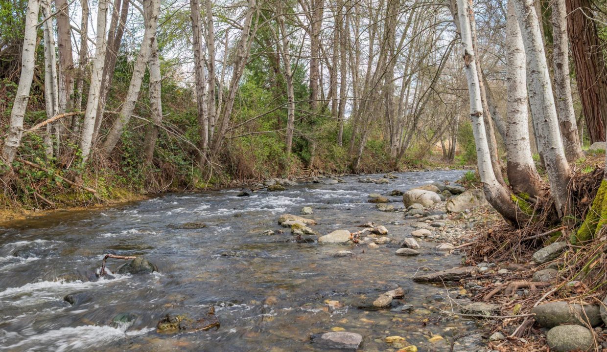 3998LittleApplegate73