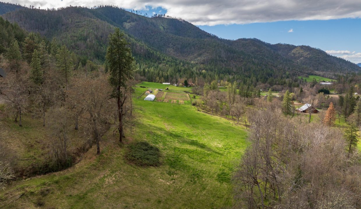 3998LittleApplegate74