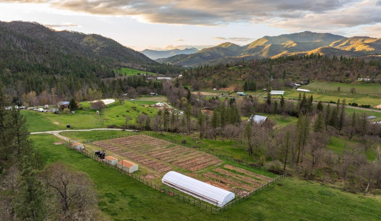 3998LittleApplegate75