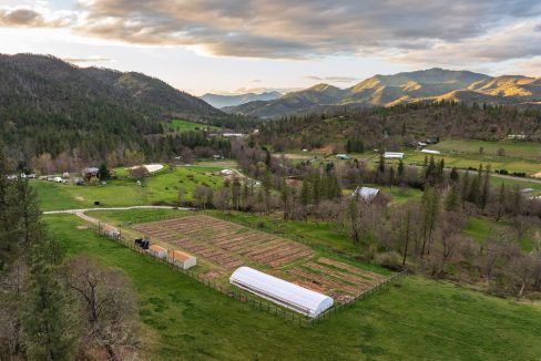 3998LittleApplegate75