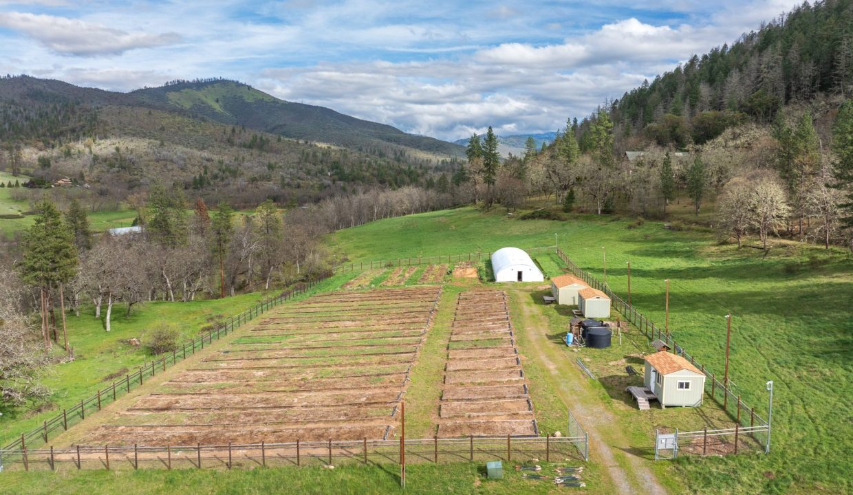 3998LittleApplegate76