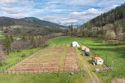 3998LittleApplegate76