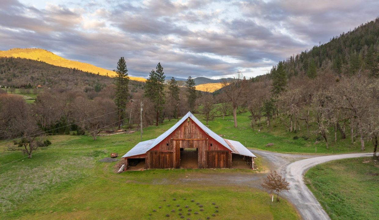 3998LittleApplegate8