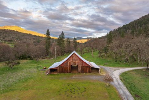 3998LittleApplegate8