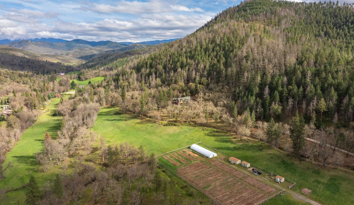 3998LittleApplegate9