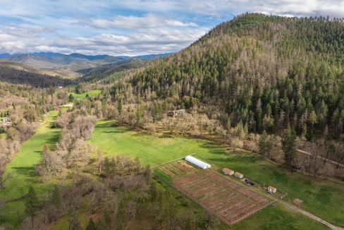 3998LittleApplegate9