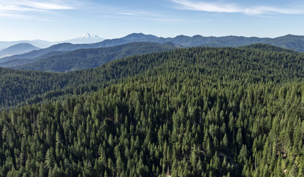 four-corners-ranch-southern-oregon-timberland-1