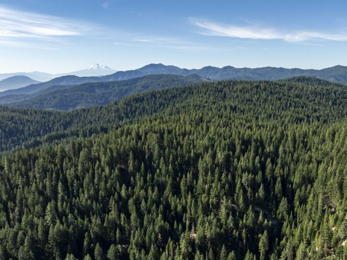 four corners ranch southern oregon timberland 1 | Martin Outdoor Property Group