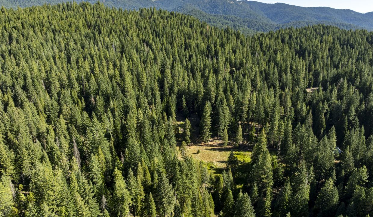 four-corners-ranch-southern-oregon-timberland-10