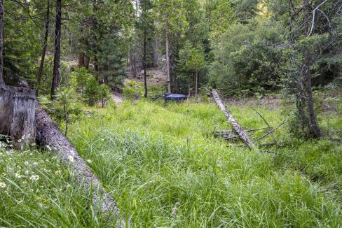 four-corners-ranch-southern-oregon-timberland-19