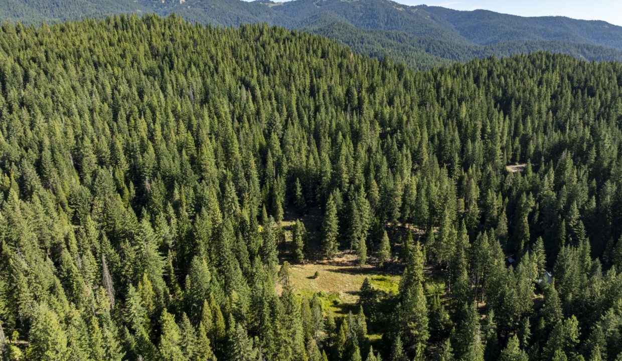 four-corners-ranch-southern-oregon-timberland-2