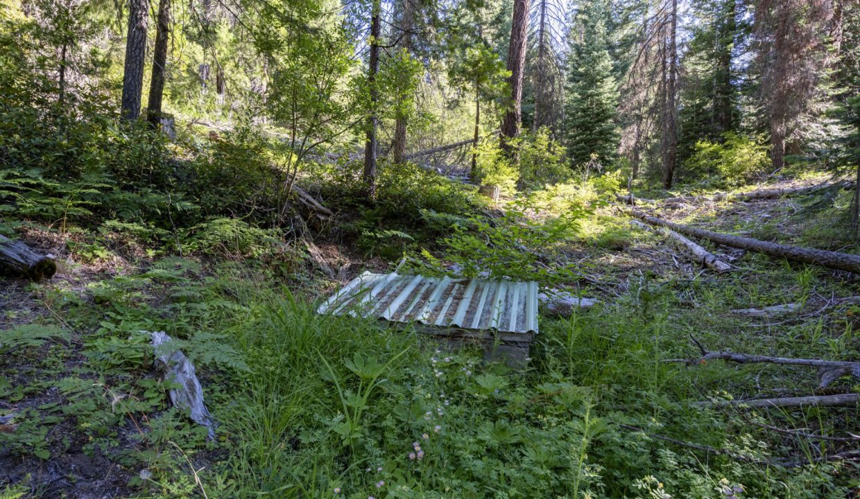four-corners-ranch-southern-oregon-timberland-20