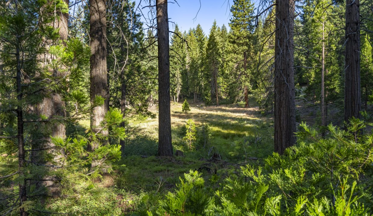 four-corners-ranch-southern-oregon-timberland-22