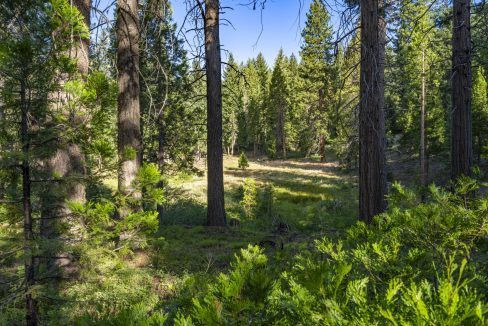 four-corners-ranch-southern-oregon-timberland-22