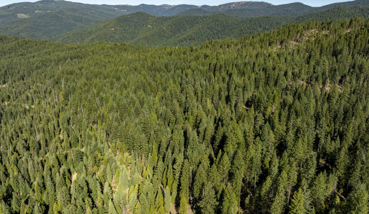 four-corners-ranch-southern-oregon-timberland-24