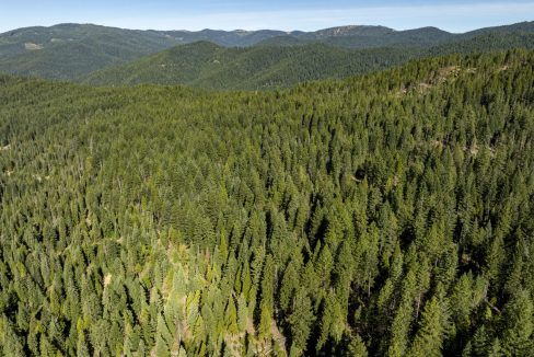 four-corners-ranch-southern-oregon-timberland-24