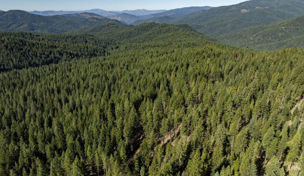 four-corners-ranch-southern-oregon-timberland-25