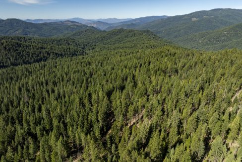 four-corners-ranch-southern-oregon-timberland-25
