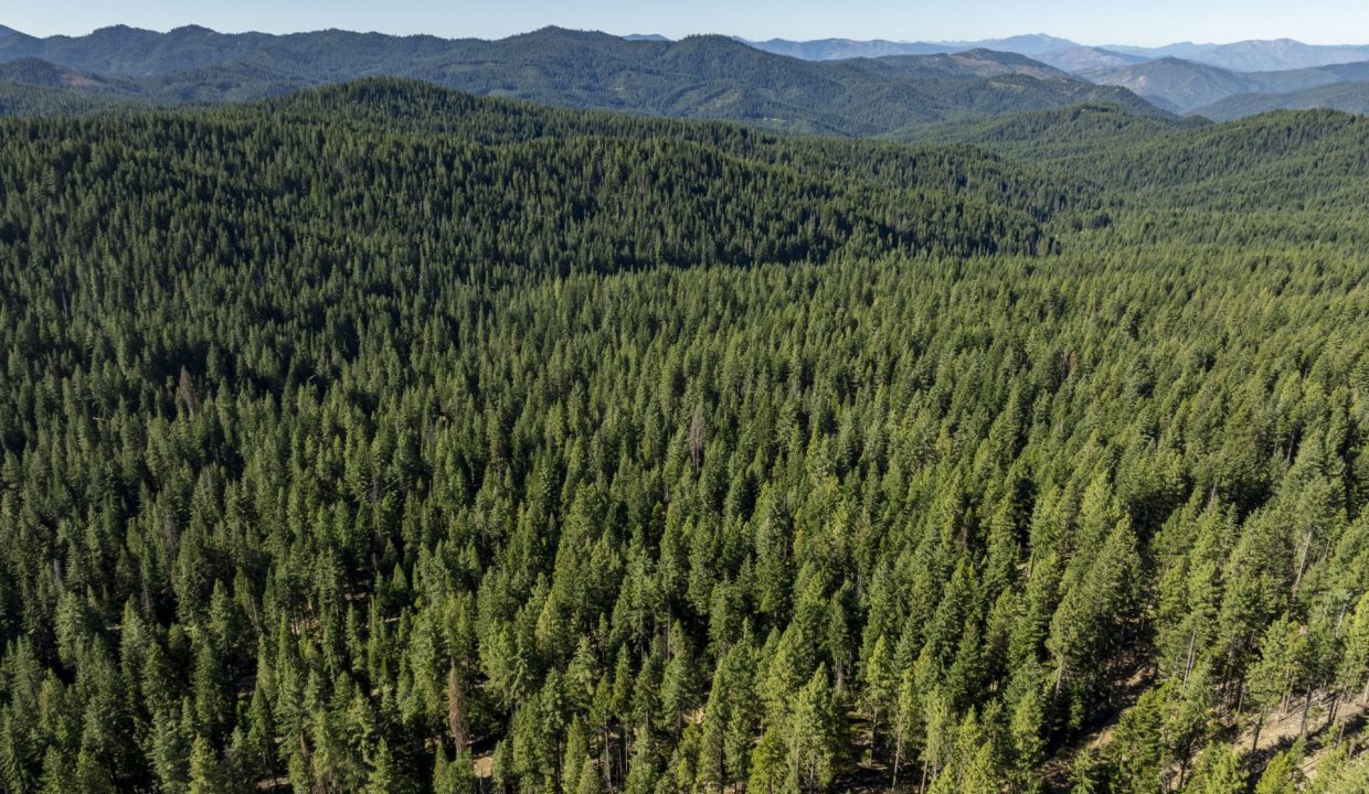 four-corners-ranch-southern-oregon-timberland-26