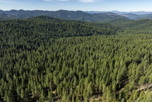 four-corners-ranch-southern-oregon-timberland-26