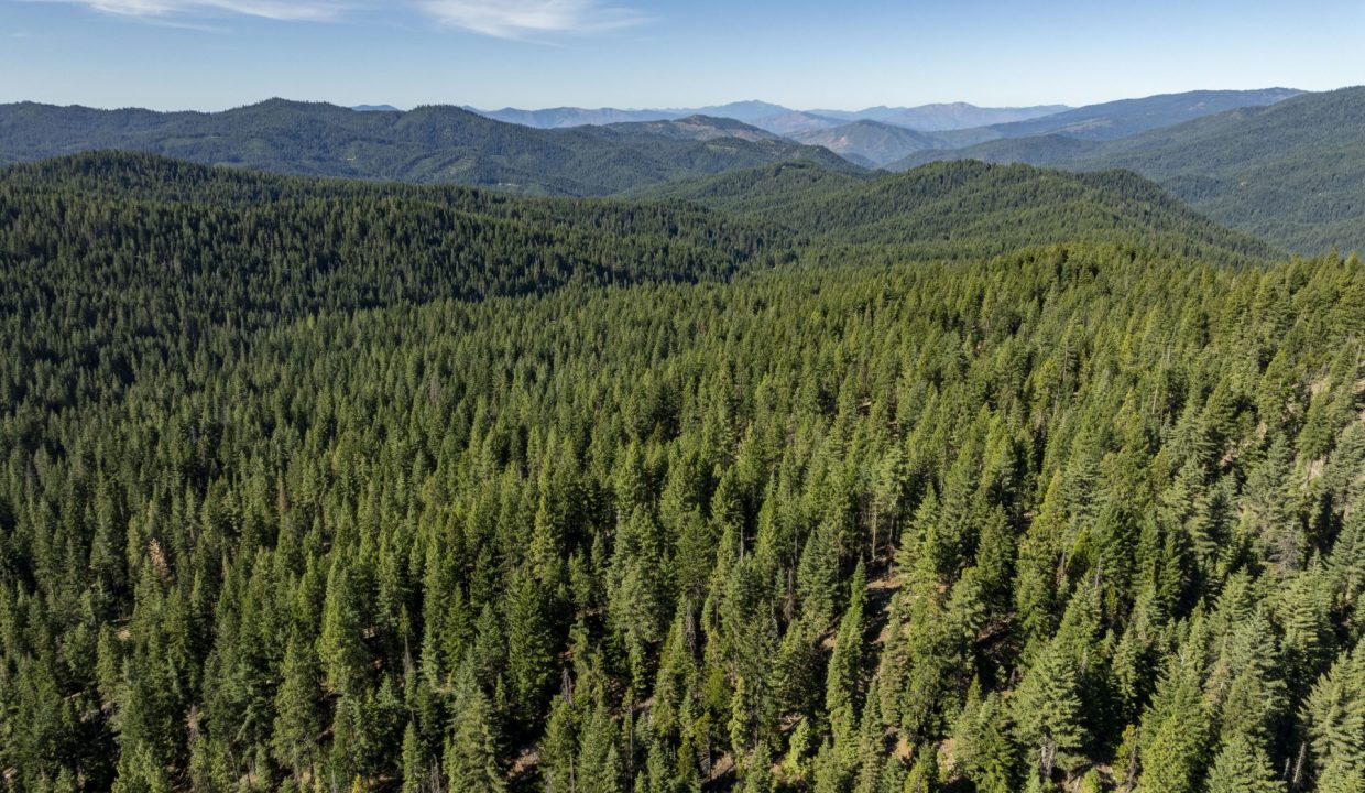four-corners-ranch-southern-oregon-timberland-27