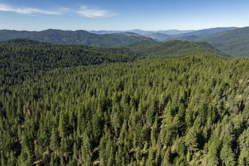 four-corners-ranch-southern-oregon-timberland-27