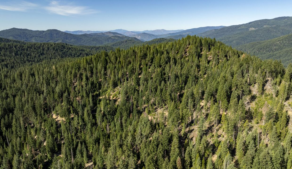 four-corners-ranch-southern-oregon-timberland-28