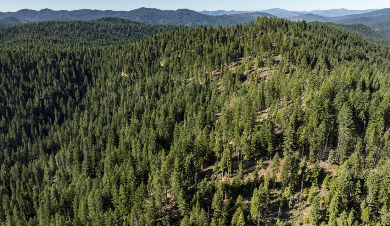 four-corners-ranch-southern-oregon-timberland-29