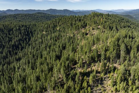 four-corners-ranch-southern-oregon-timberland-29