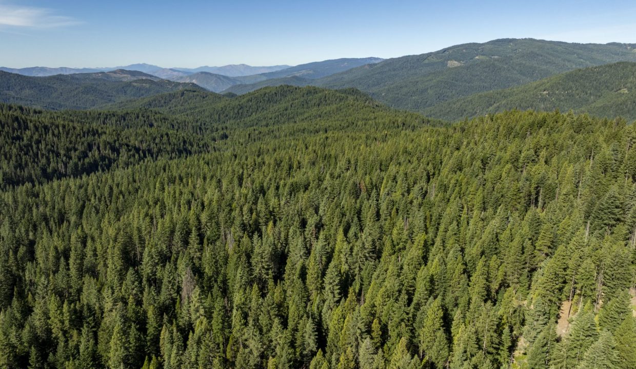 four-corners-ranch-southern-oregon-timberland-3