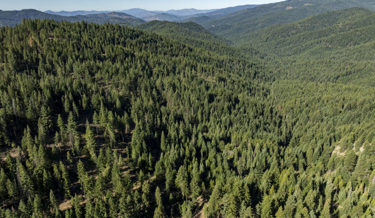 four-corners-ranch-southern-oregon-timberland-30
